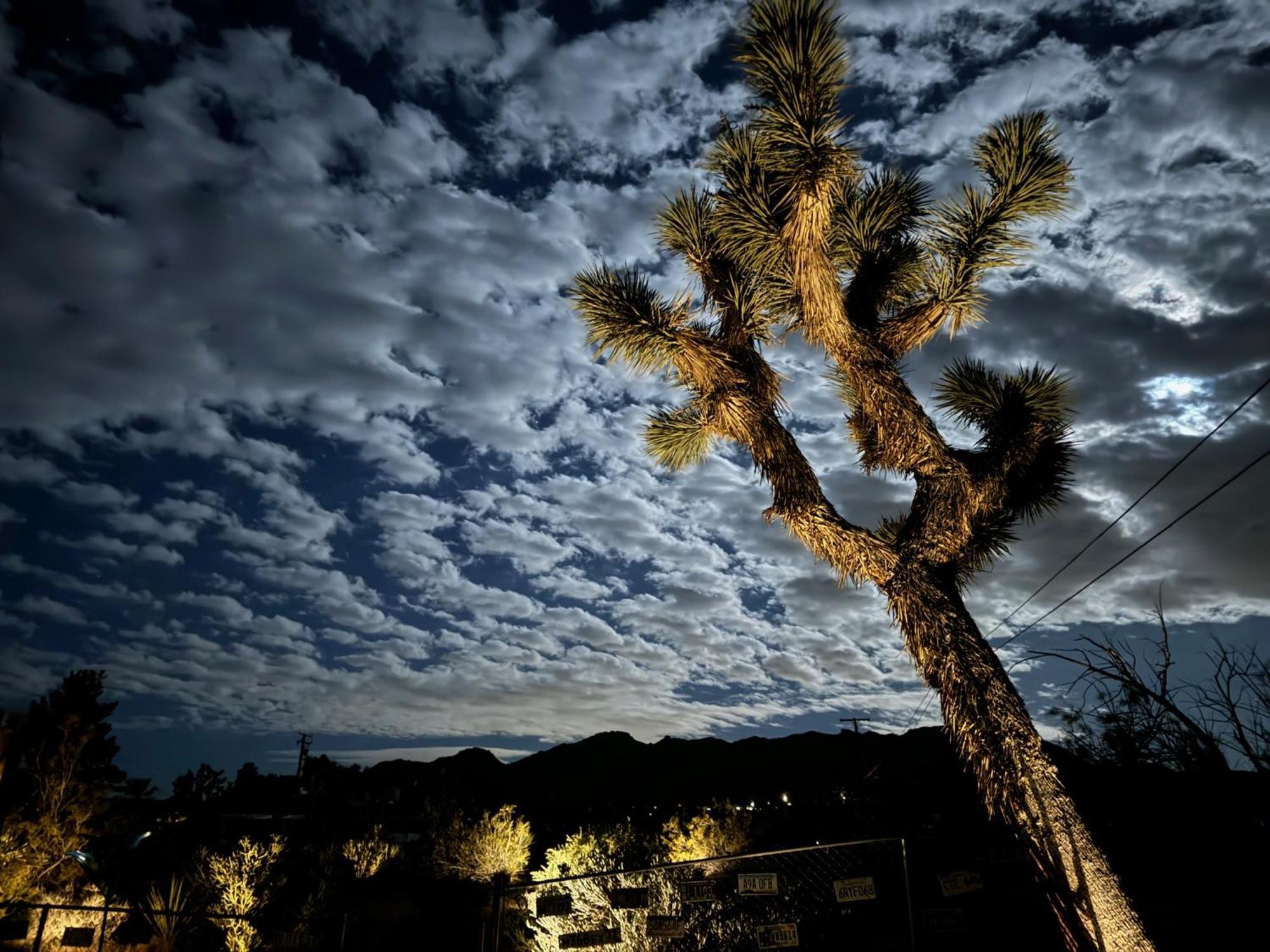 Float Pool, Hot Tub, Sauna, Views, Telescope-Skywatchers Haven Joshua Tree Bagian luar foto