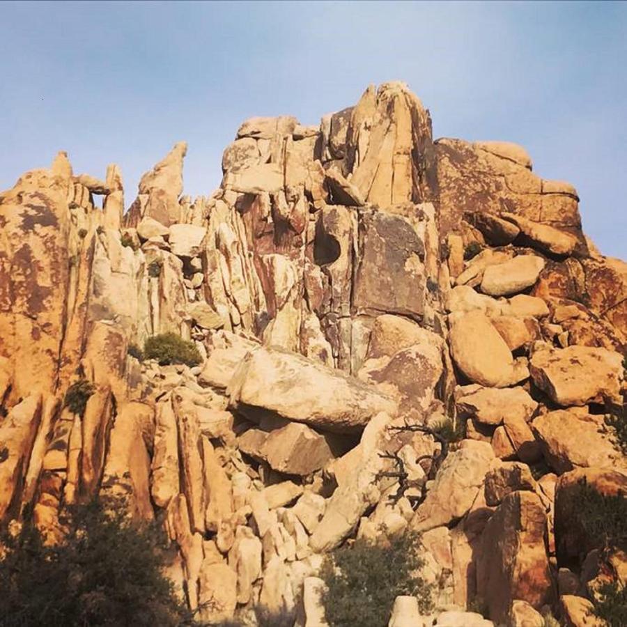 Float Pool, Hot Tub, Sauna, Views, Telescope-Skywatchers Haven Joshua Tree Bagian luar foto